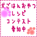 犬ごはんおやつレシピコンテスト